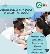 Chi Phí Xkld Hàn Quốc 2022 Là Gì ؟ Gì Nữ Mạng