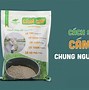 Dịch Vụ Câu Cá Giải Trí