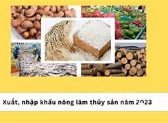 Giá Trị Sản Xuất Nông Nghiệp Năm 2023