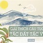 Ý Nghĩa Câu Nói Rừng Vàng Biển Bạc